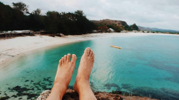 What Are the Best Practices for Traveling with a Pet Bird by Air?