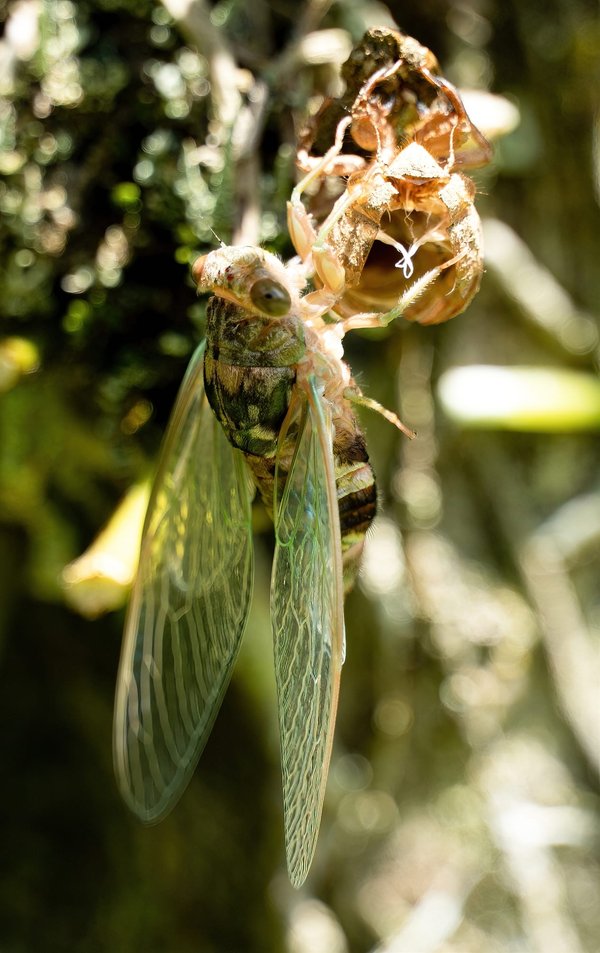 How Can Exoskeleton Technology Aid in Strength Training for Elderly Athletes?